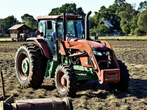 Fioletowe i białe krokusy z kroplami rosy na tle ośnieżonych szczytów Tatr w słoneczny poranek.